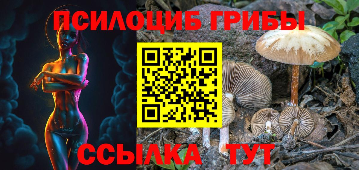 Татарск  Псилоцибиновые грибы Psilocybine cubensis  Вход с VPN 